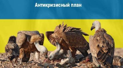 В тисках незалежності: Как Запад спасает Киев