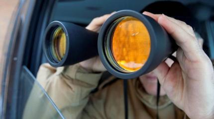 Немецкая истерия порождённая США