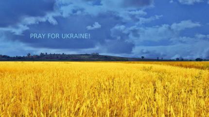 Иностранцы не смогут поднять Украину с колен Иностранцы не смогут поднять Украину с колен