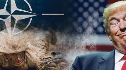 У НАТО появилась цель – понравиться Трампу У НАТО появилась цель – понравиться Трампу