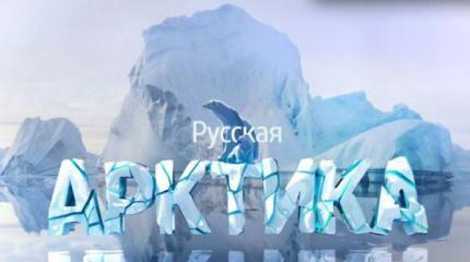 США пытается «разжечь костер» в Арктике