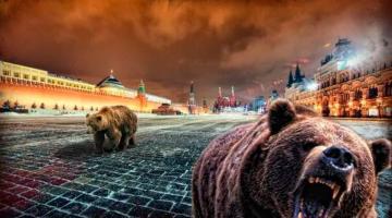 Русского медведя придумали русофобы