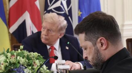 Киеву лучше скрестить пальцы: в РФ высказались о встрече Трампа с Зеленским