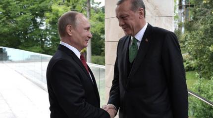 Встреча в Сочи: Эрдогану удалось не наступить на турецкие помидоры