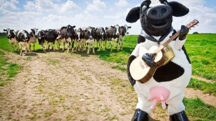 О принудительном сокращении поголовья скота в личных хозяйствах. Россия 2015