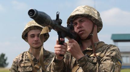 Украинская власть в поисках одобрения «хорватского сценария»