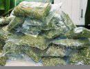 Таджикистан - главный поставщик наркотиков из Афганистана на мировые рынки Таджикистан - главный поставщик наркотиков из Афганистана на мировые рынки