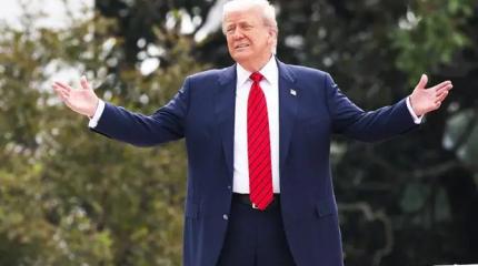 Карты спутаны окончательно: Трамп дал команду готовить встречу с Путиным