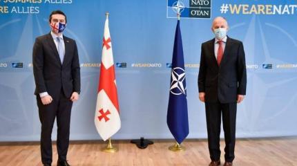 Грузия: заявка в ЕС и «больше НАТО» Грузия: заявка в ЕС и «больше НАТО»
