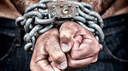 «Колесо Генотьбы» на Украине закрутилось с новой силой «Колесо Генотьбы» на Украине закрутилось с новой силой