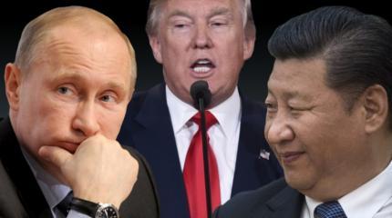 Путин и Си важнее для Трампа, чем все страны НАТО Путин и Си важнее для Трампа, чем все страны НАТО