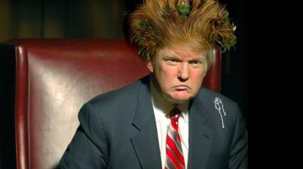 Секрет популярности Путина и Трампа Секрет популярности Путина и Трампа