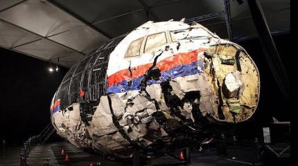 Дискриминация России в Гаагском суде возмутила родственника жертвы MH17