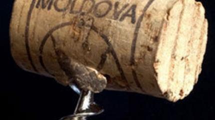 Союз бесполезности. Молдавия как затычка для ЕС Союз бесполезности. Молдавия как затычка для ЕС