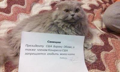 Санкции, любовь моя Санкции, любовь моя