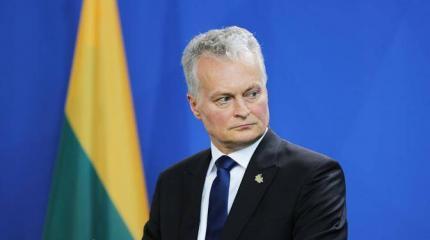 Литва пообещала Лукашенко поддержку в борьбе с Путиным Литва пообещала Лукашенко поддержку в борьбе с Путиным