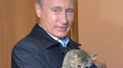«Кремлевский список» «Кремлевский список»