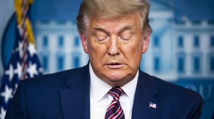 Есть все доказательства, как у Трампа украли выборы, а он сдался?