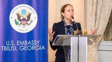 Посол США выходит за рамки допустимого: Грузия начинает сопротивляться