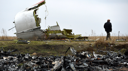 Cуд по делу MH17: премьер-министра Малайзии попросили вмешаться Cуд по делу MH17: премьер-министра Малайзии попросили вмешаться