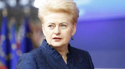 Литва изменила взгляд на «Северный поток» -2: Эта труба не такая и плохая Литва изменила взгляд на «Северный поток» -2: Эта труба не такая и плохая