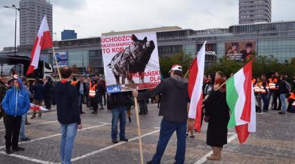 Ни шагу назад: Польша встала против ЕС в вопросе о беженцах