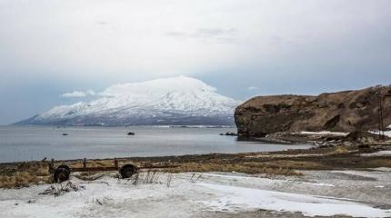 Вашингтон – Токио: Забирайте Курилы, только добейте русских санкциями Вашингтон – Токио: Забирайте Курилы, только добейте русских санкциями