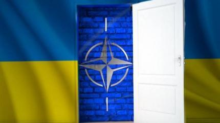 Украина: «Осторожно, двери в НАТО закрываются!» Украина: «Осторожно, двери в НАТО закрываются!»