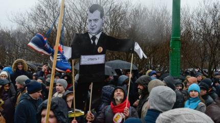 Покед, Медвед!