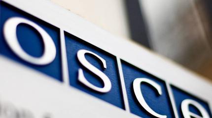 ПА ОБСЕ заняла прогрузинскую позицию ПА ОБСЕ заняла прогрузинскую позицию