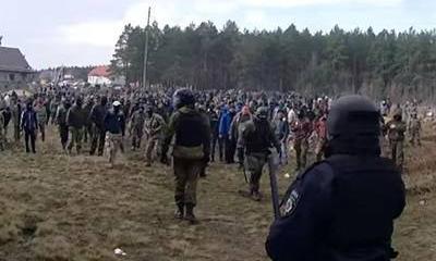 Кровавый янтарь снова в центре внимания