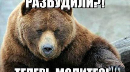 Он проснулся... Он проснулся...