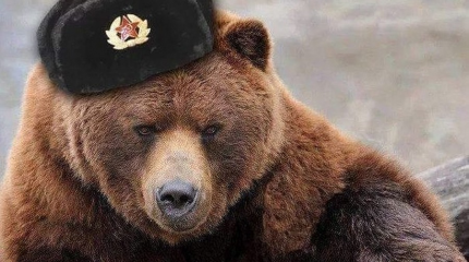 До каких пор Запад будет держать русских за идиотов? До каких пор Запад будет держать русских за идиотов?