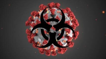 Коронавирус COVID-19: угрозы, последствия, действия Коронавирус COVID-19: угрозы, последствия, действия