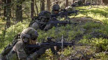 Эксперты вместо солдат: в Финляндии представили план по поддержке Украины