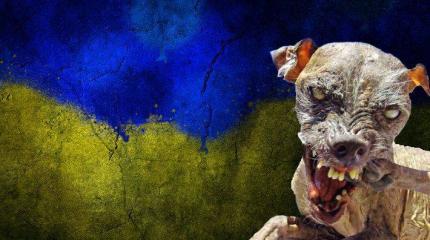 «Европейская» Украина приводит в ужас европейцев «Европейская» Украина приводит в ужас европейцев