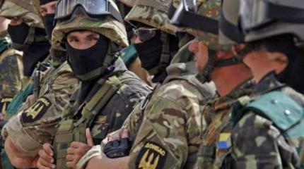В Раде признали преступными действия ВСУ и добробатов-нацистов