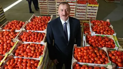 Азербайджан завербовал «половину российской политоты»