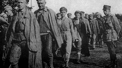 Скелет в польском шкафу Скелет в польском шкафу