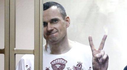 Невменяемые адвокаты украинского терроризма Невменяемые адвокаты украинского терроризма