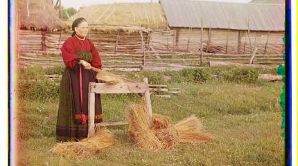 Сеющий лён – пожнёт золото