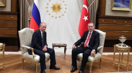 Проект «ЗЗ». Путин, вы мой господин Проект «ЗЗ». Путин, вы мой господин