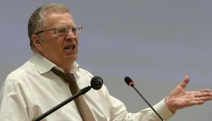 Владимир Жириновский сравнил Лукашенко с ласковым теленком Владимир Жириновский сравнил Лукашенко с ласковым теленком