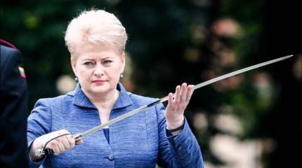 «Лживое примирение»: что стоит за «сменой пластинки» Грибаускайте? «Лживое примирение»: что стоит за «сменой пластинки» Грибаускайте?