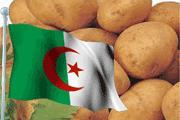 Алжир займет место Турции на рынке сельхозпродукции для России