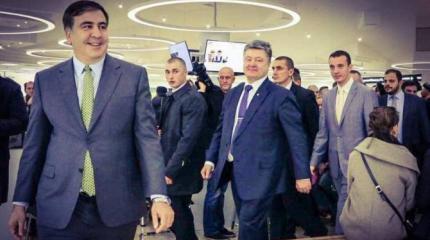 Саакашвили в роли священной коровы Порошенко Саакашвили в роли священной коровы Порошенко