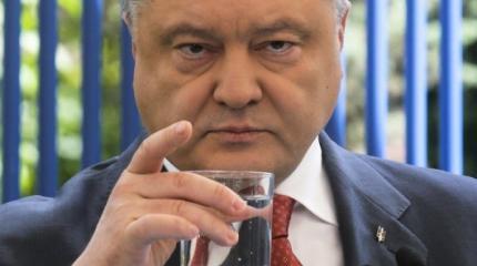 Пушной зверёк и общественное сознание Пушной зверёк и общественное сознание