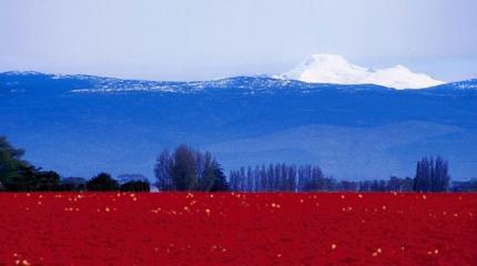 «Умирающая Рашка» «Умирающая Рашка»