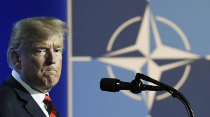 Переживёт ли НАТО президентство Трампа? Переживёт ли НАТО президентство Трампа?