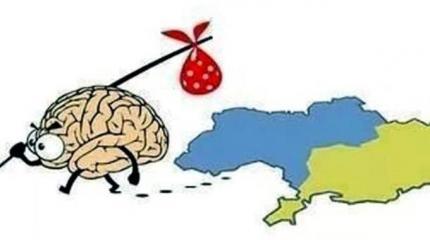 Дуркаина – страна победившая разум Дуркаина – страна победившая разум